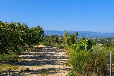 Terra a Albaida, Valencia, Albaida - € 100.000 | Ref: PNPT258 - foto 21
